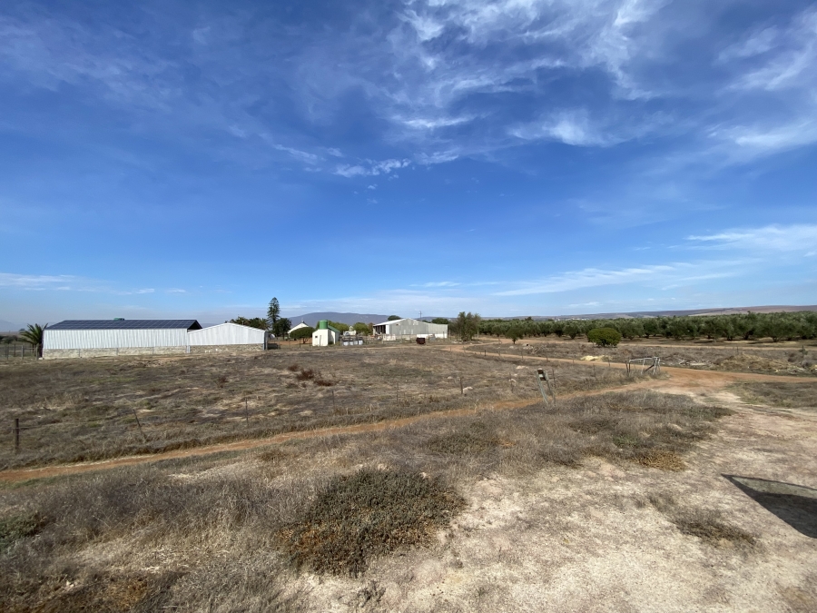 0 Bedroom Property for Sale in Darling Western Cape